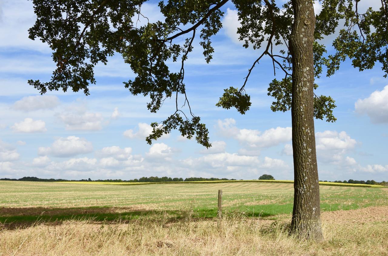 Moorveld De Hagendoorn Bed & Breakfast エクステリア 写真